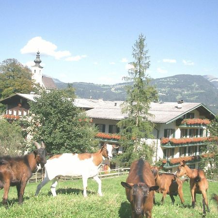 Hotel Torrenerhof Golling an der Salzach Exterior foto