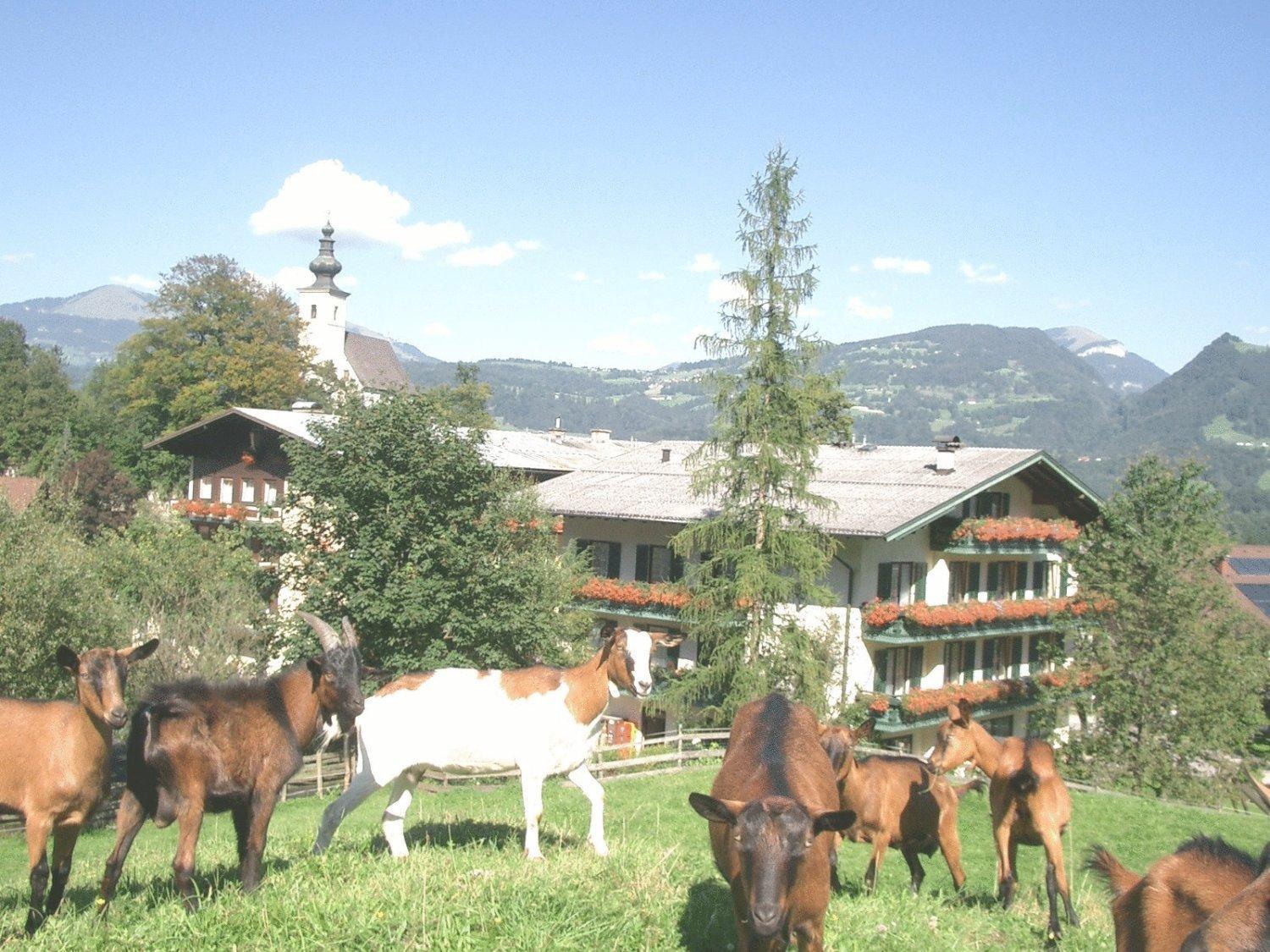 Hotel Torrenerhof Golling an der Salzach Exterior foto