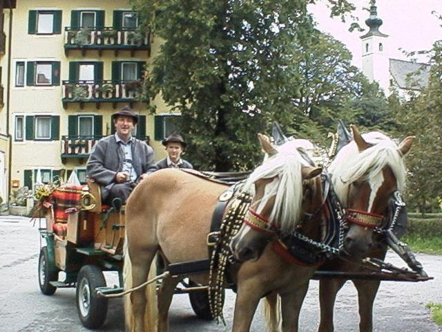 Hotel Torrenerhof Golling an der Salzach Exterior foto